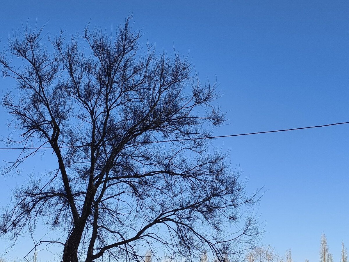     Фото: Евгений МОРОЗОВ