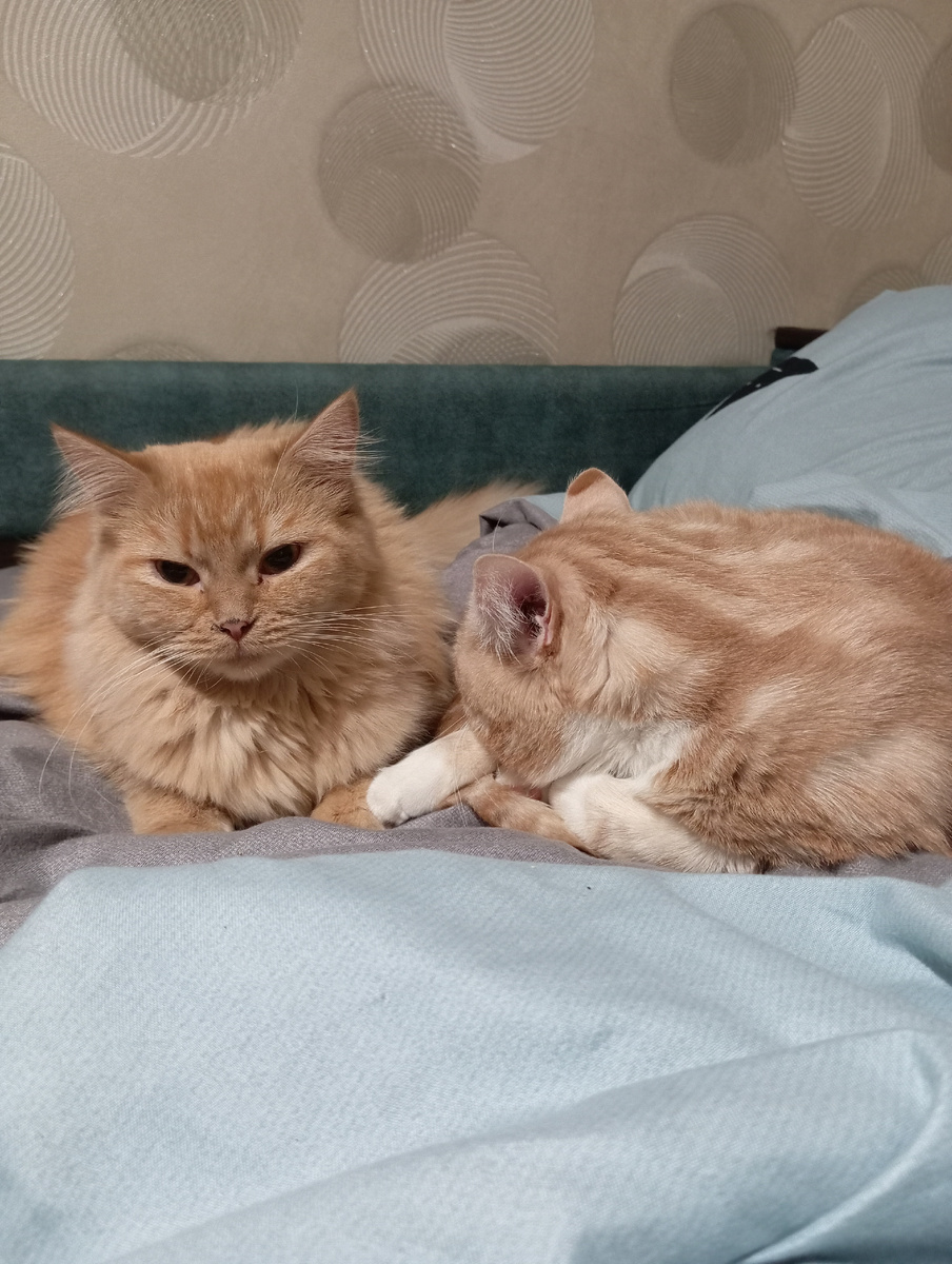 Ну и что ты нам сделаешь?