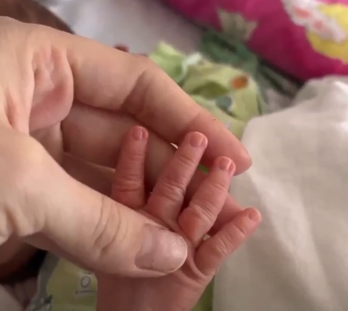    фото: © Юлия Липинская/скриншот видео