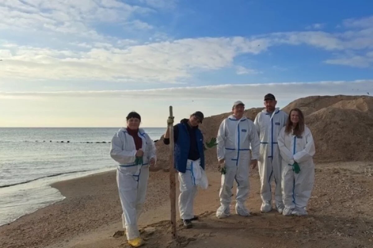 Волонтёры устраняют последствия разлива мазута на Бугазской косе / Марина Сизова / АиФ