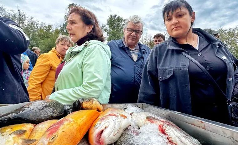 Будет ли дешеветь рыба в России?