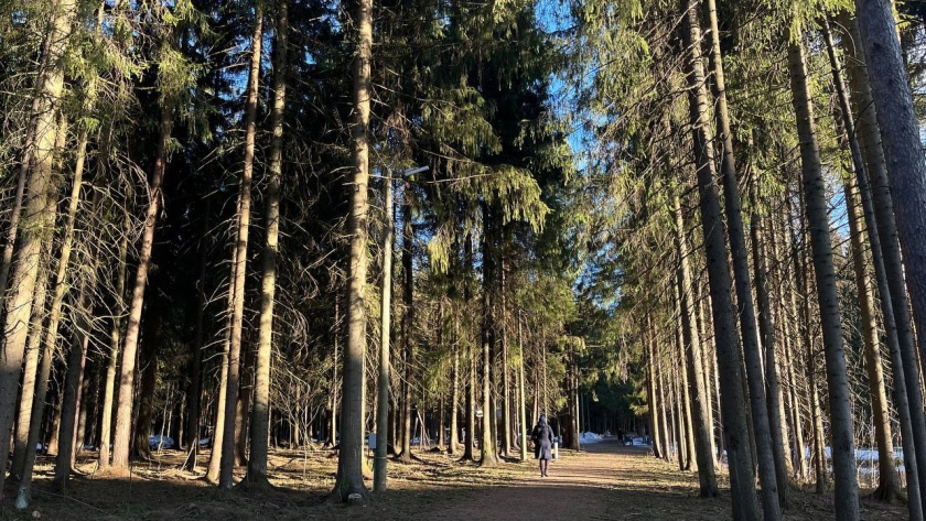    Фото: архив редакции