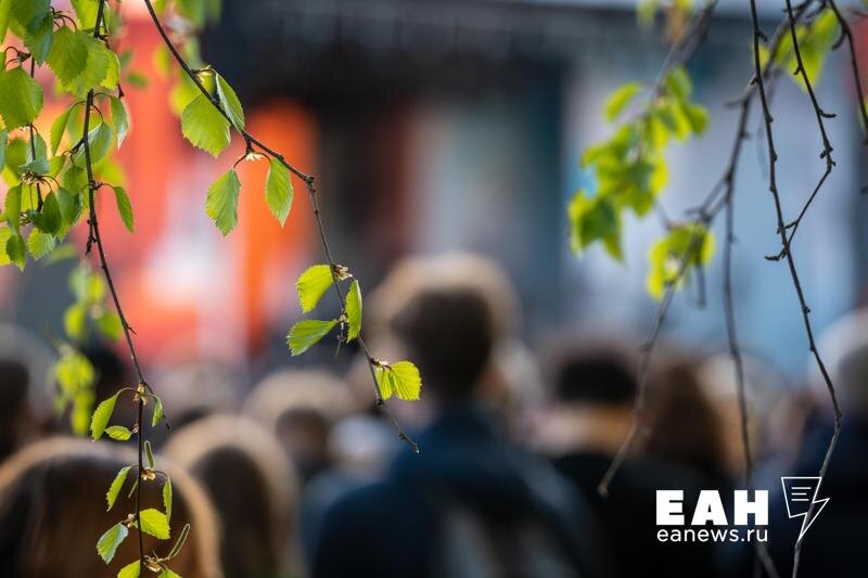    ЕАН. Веточки