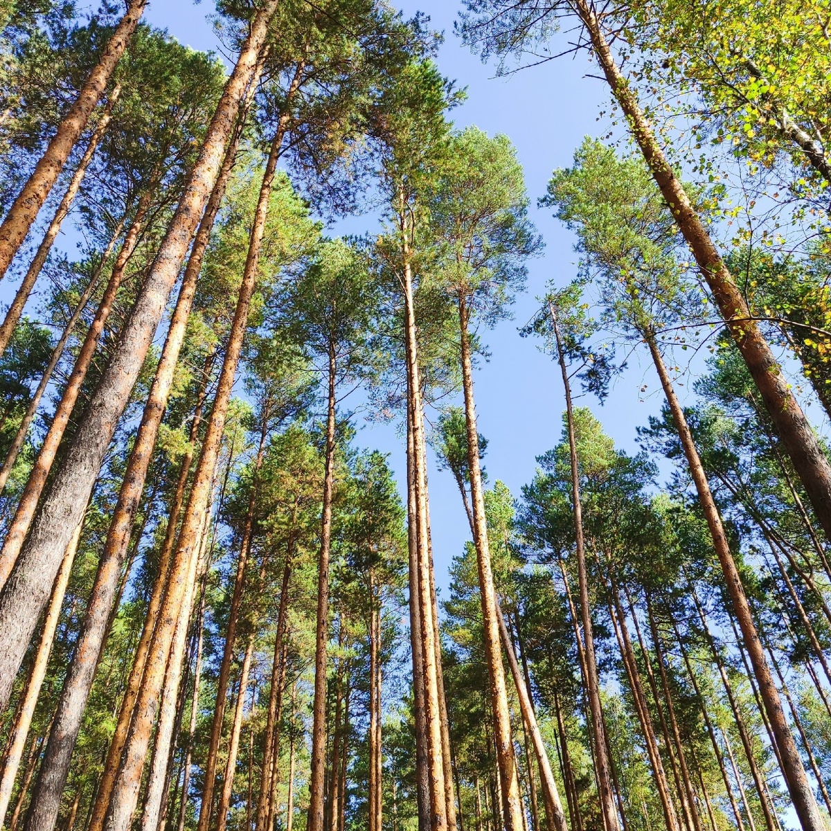 Андрей Бендер. Юрист Омск. Военный юрист. Медицинский юрист.