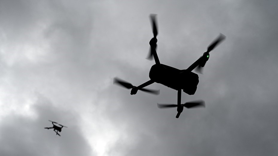    Автор фото: Bumble Dee / Shutterstock / FOTODOM