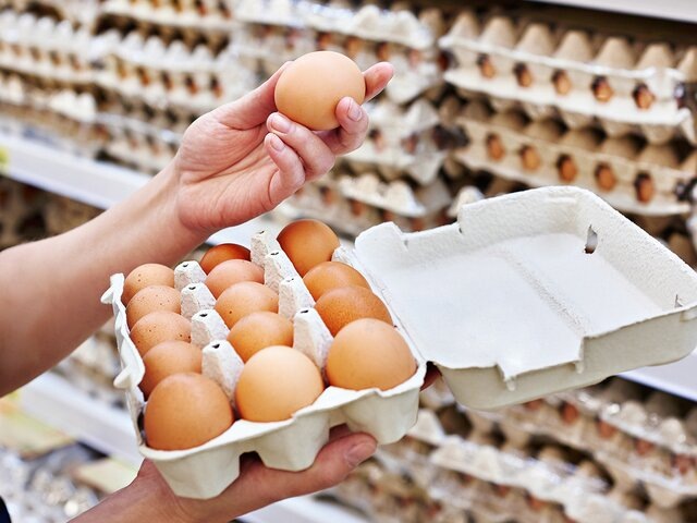    Фото: depositphotos/ryzhov