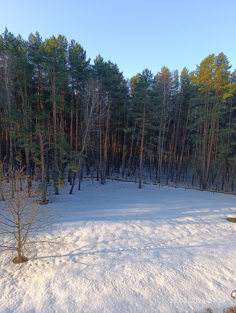 Вид из окна палаты.