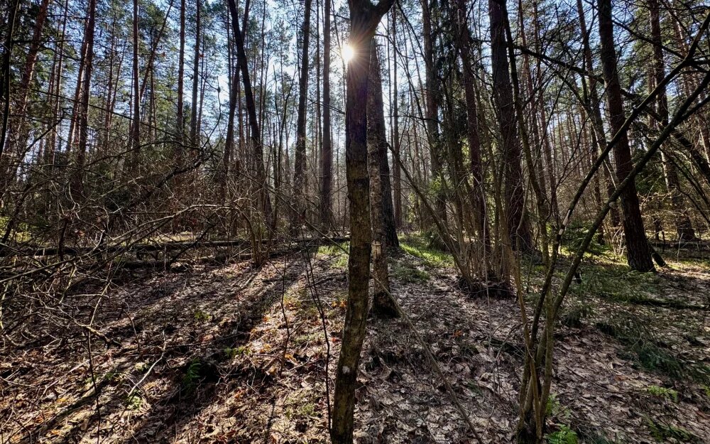    Фото: "Брянские новости"