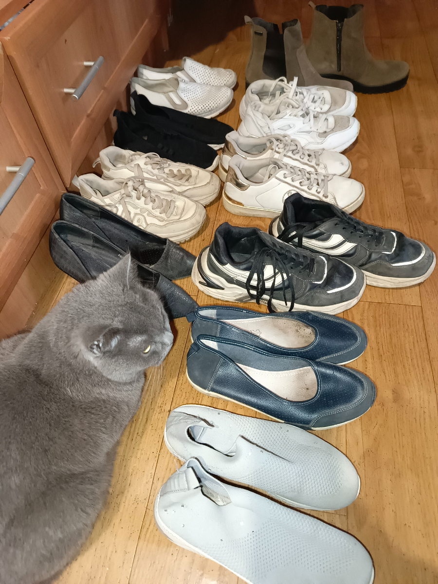 Дымчик на контроле, чтобы не передумали!