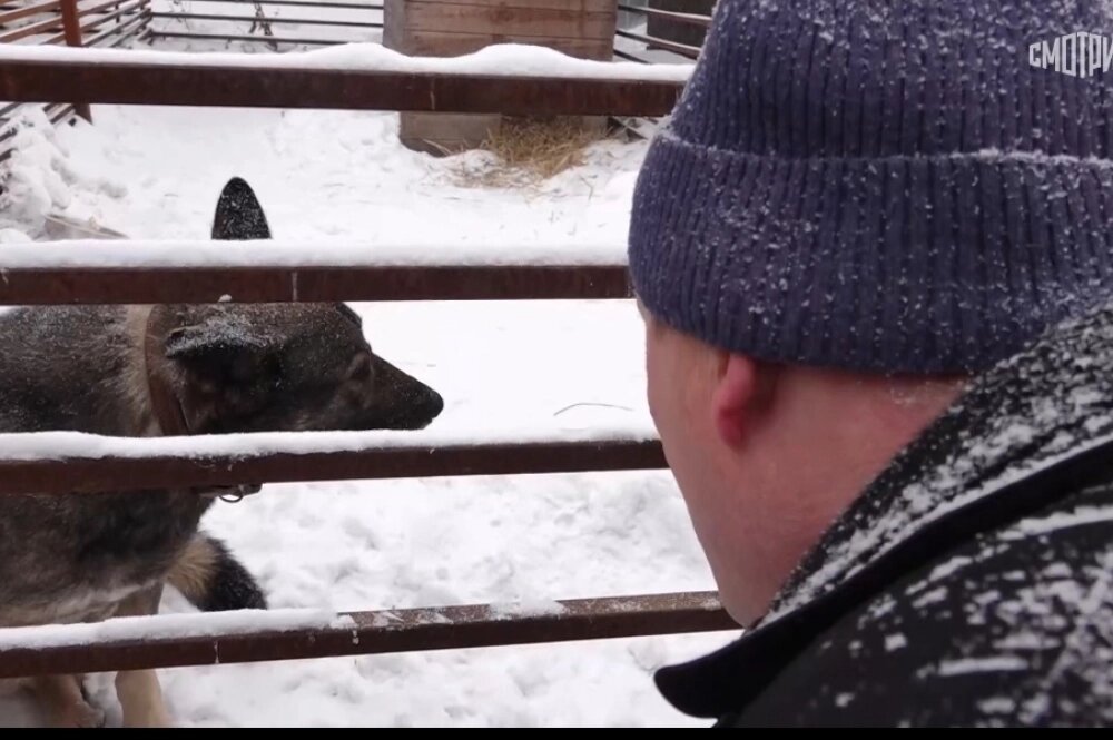    Анатолий в приюте у Бони. Фото: smotrim.ru