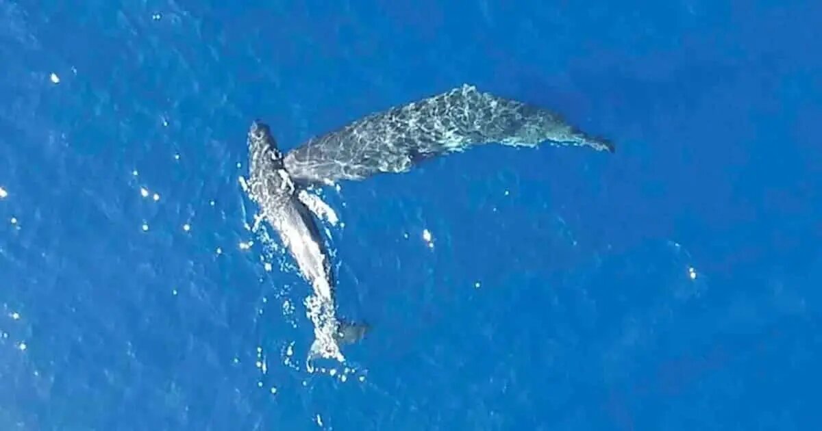    Источник: naked-science.ru Оксана