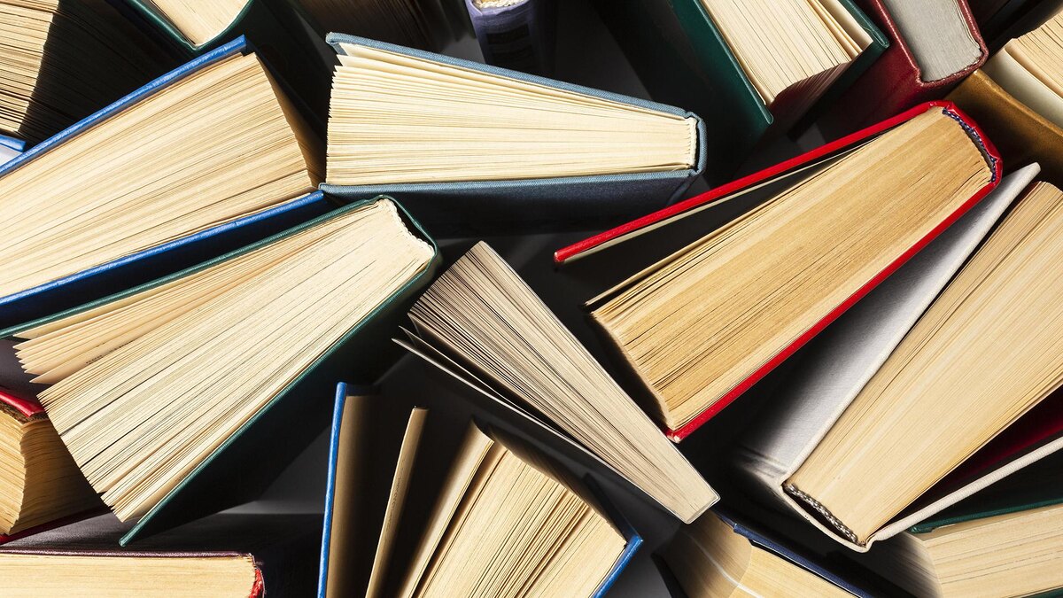    Фото: freepik.com