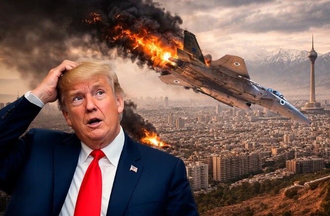 фото: яндекс. 