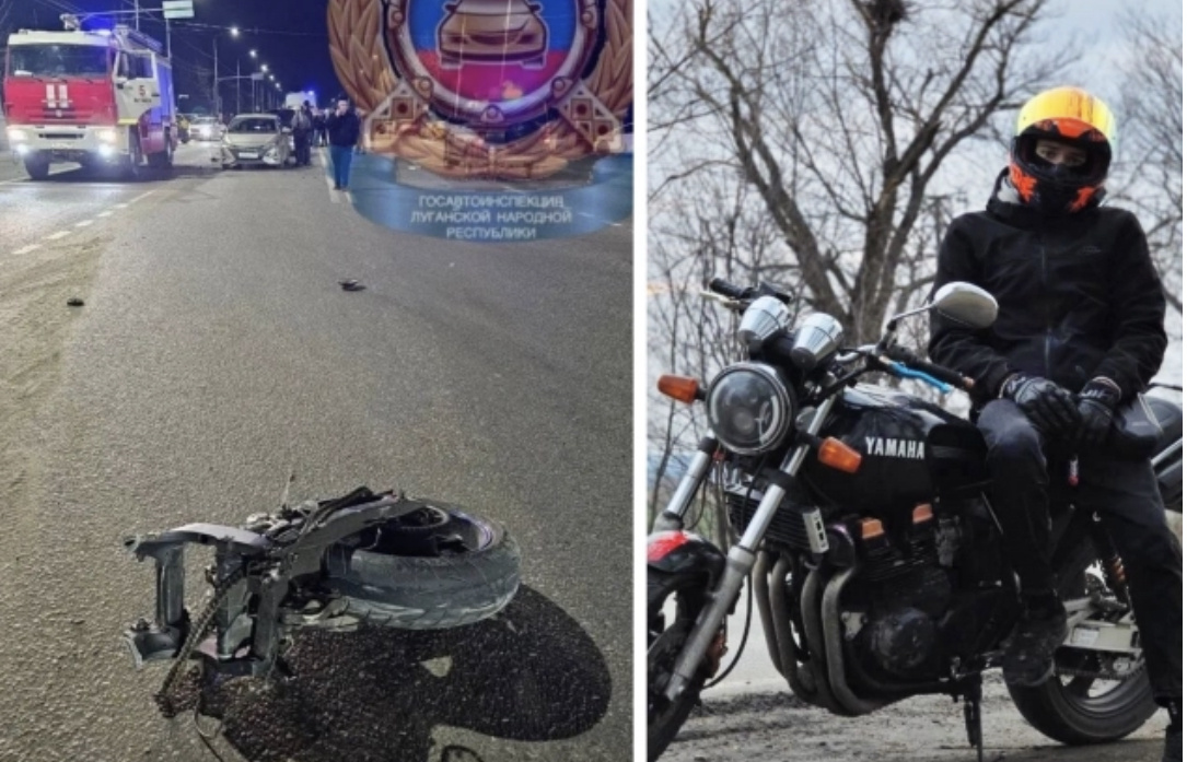 Фото: Коллаж АиФ-Ростов