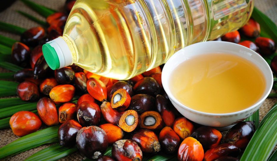 Пальмовое масло для детей? В Госдуме не поддержали проект о запрете пальмового масла в детском питании