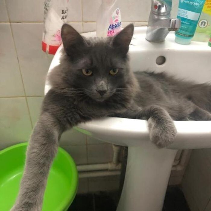 Иллюстрация: © «Панорама»