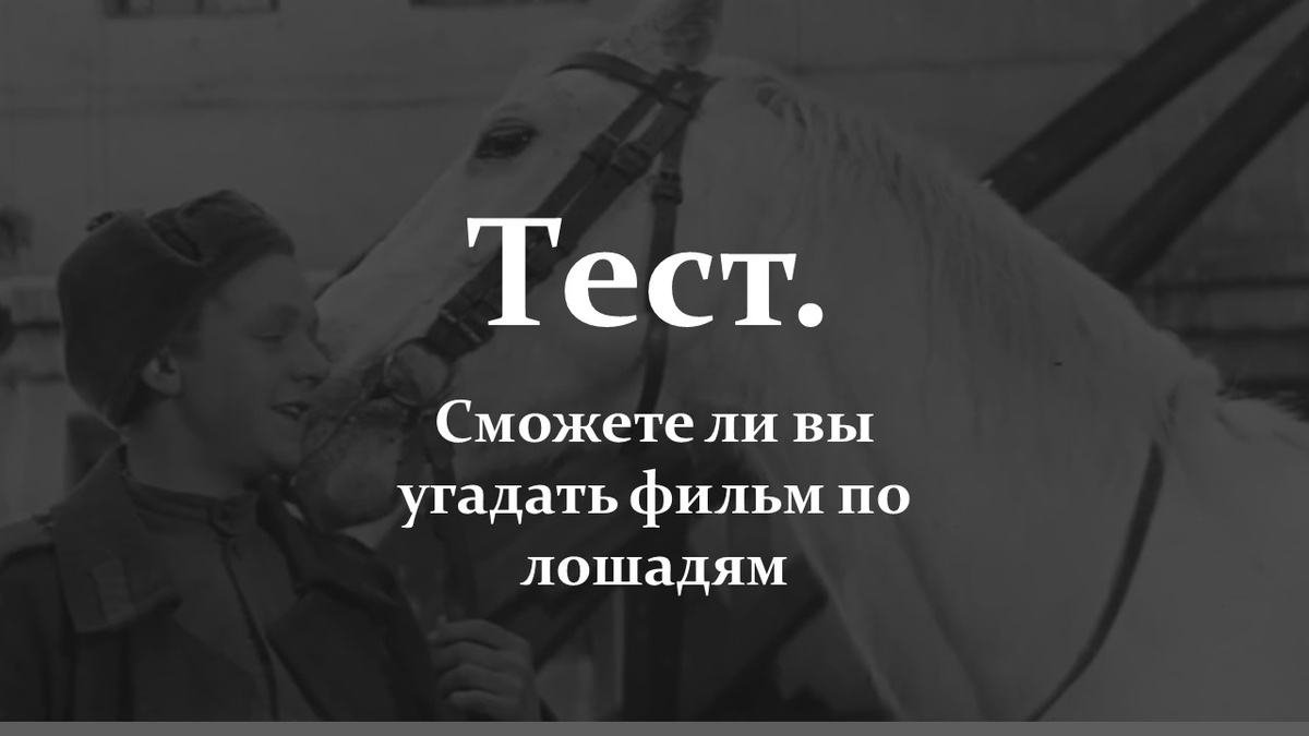 Тест. Сможете ли вы угадать фильм по лошадям.