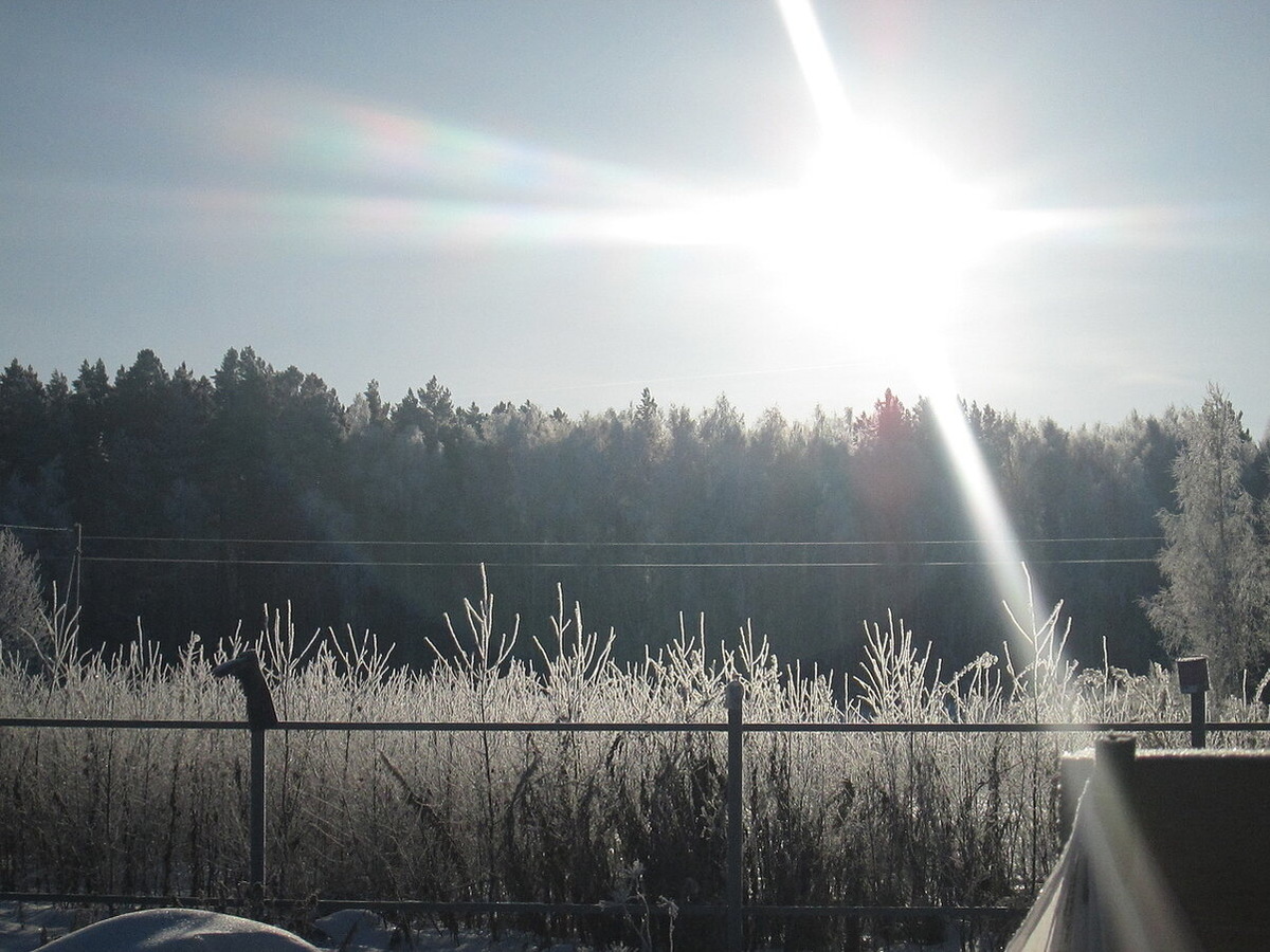 Зима за городом