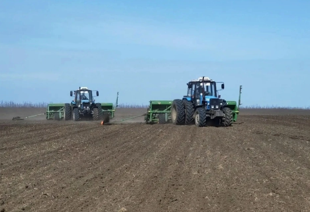    Фото предоставлено администрацией Октябрьского района Ростовской области Марина Ецкова