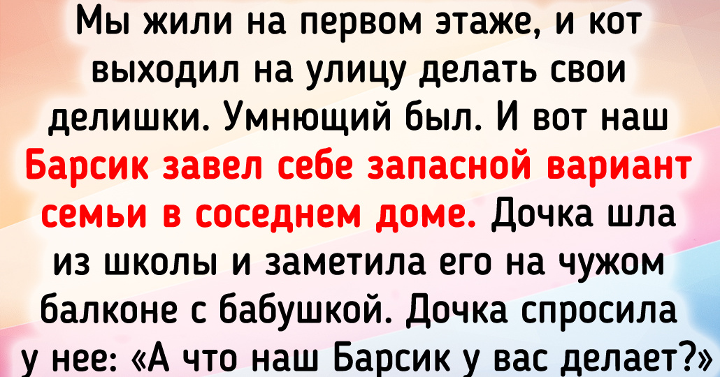 Теплые истории о пушистиках, чьи выходки превращают каждый день в приключение