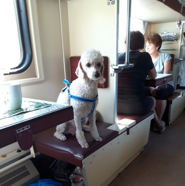 © Kayfashion / Pikabu