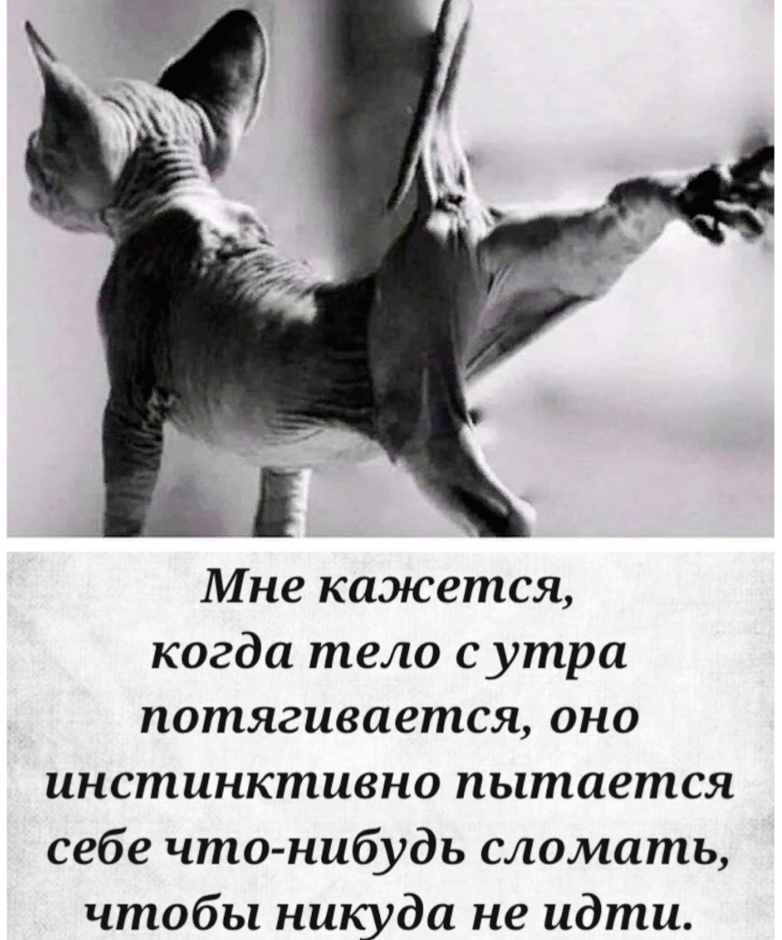 Примерно также я растянулась... 😁