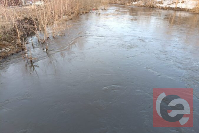    Фото: Прецедент