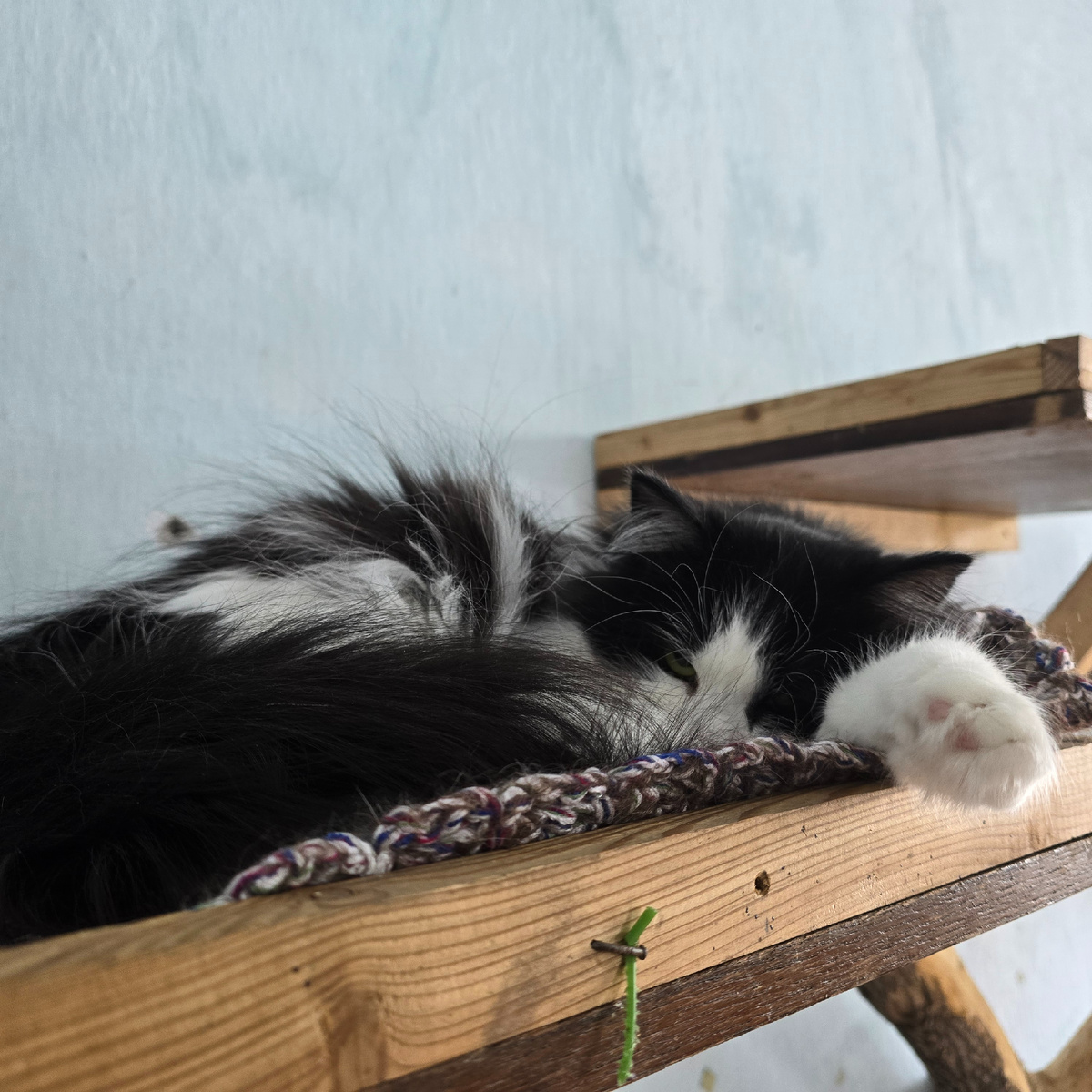 спит свернувшись, доверяя теплу одеяла