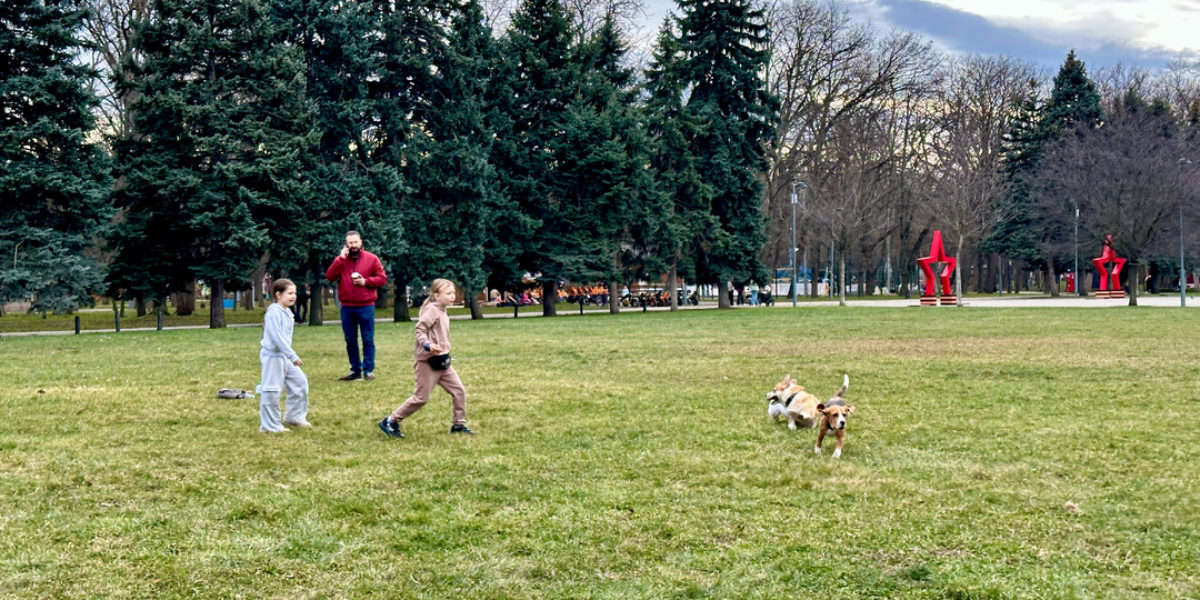 И снова будете жалеть о том, что не переехали в 2026 в Краснодар?