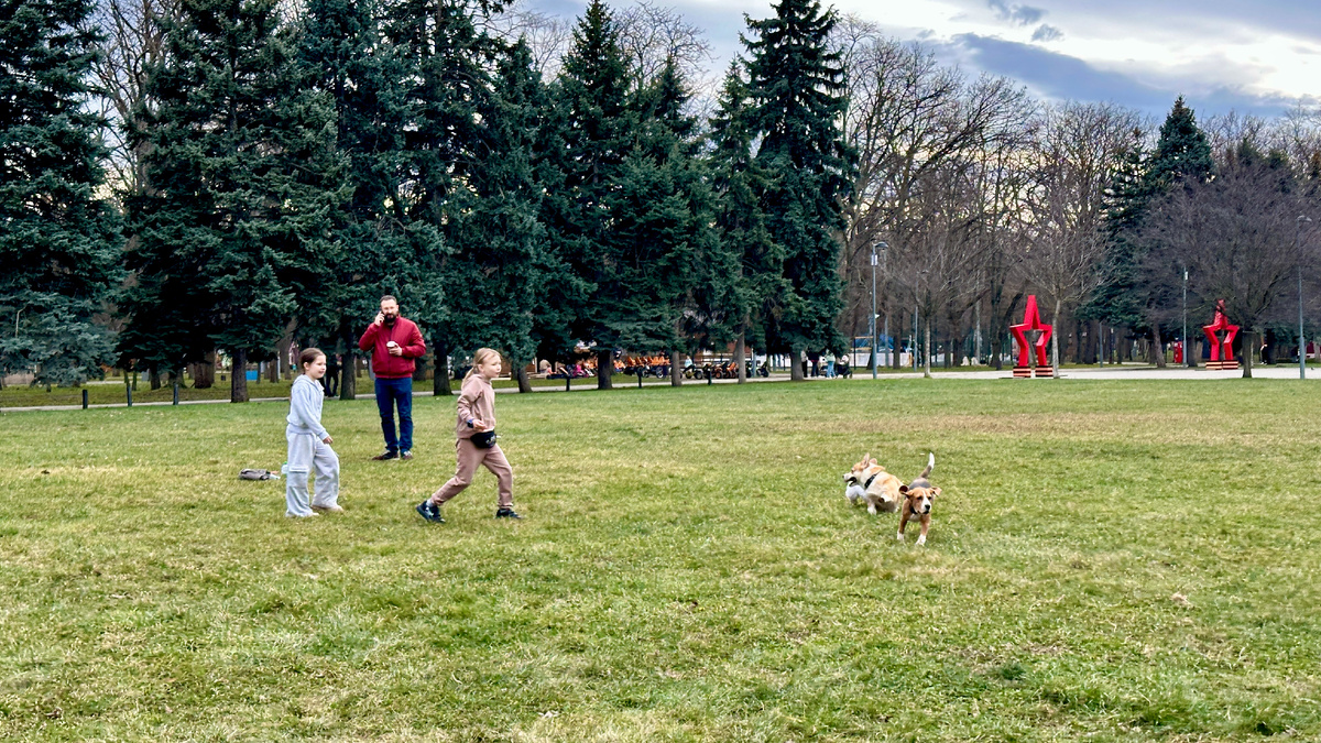 Зимний Краснодар - это февраль) 