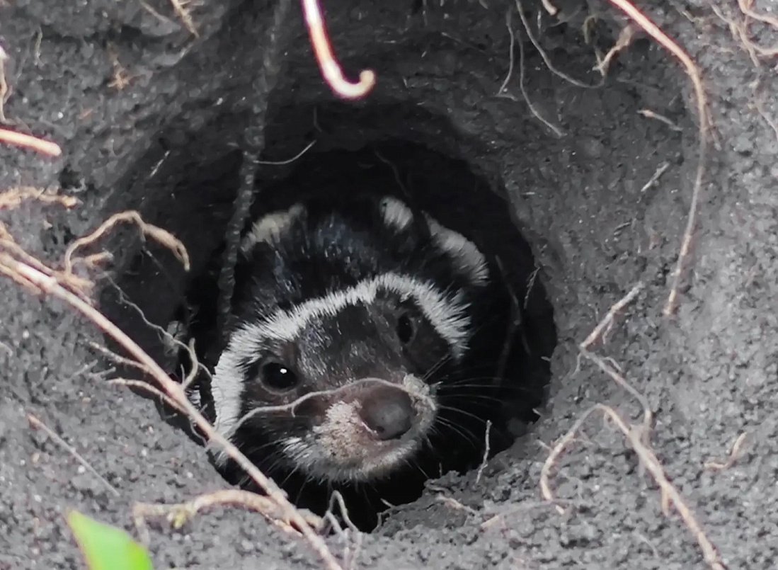 Фото: Правительство Курской области