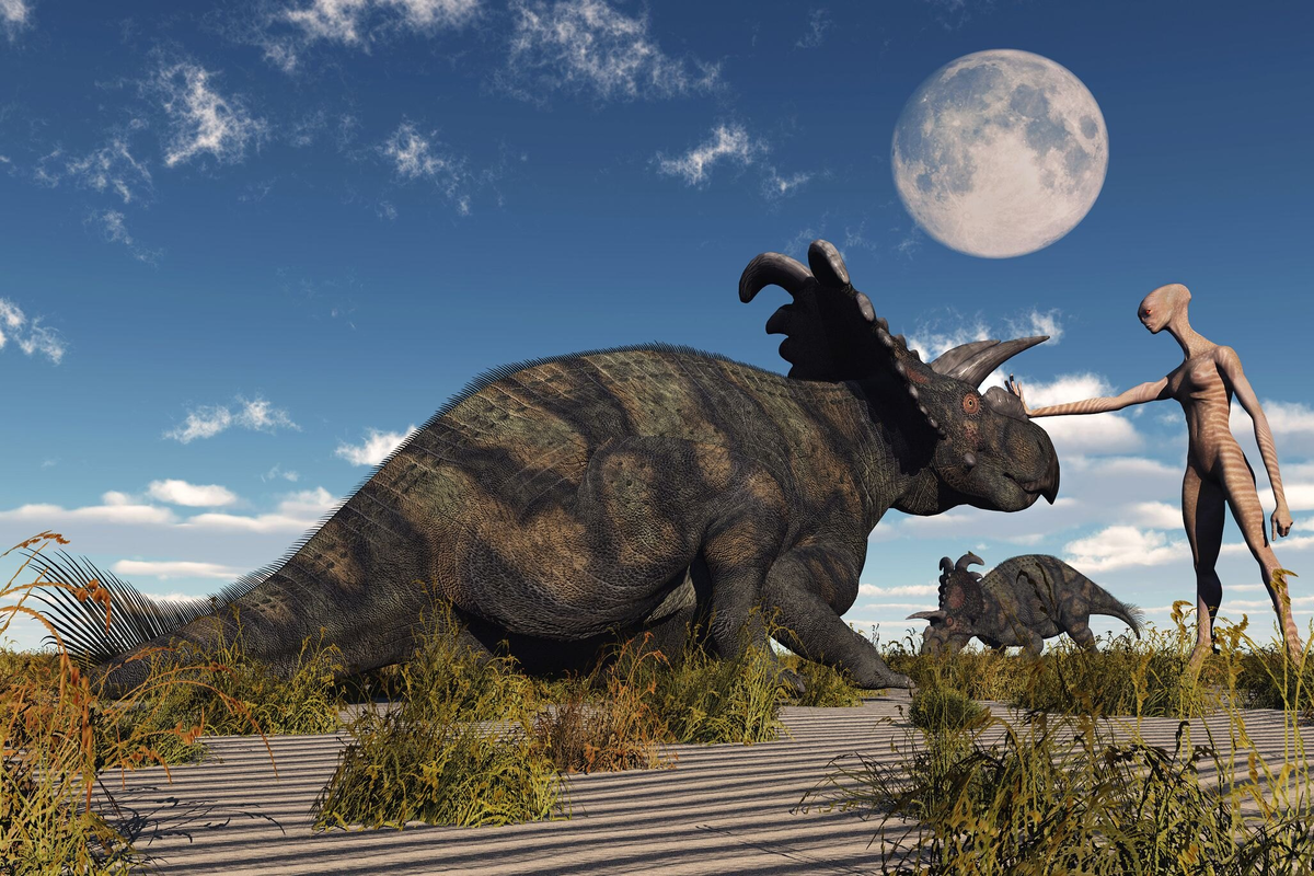 Фото из свободных источников.