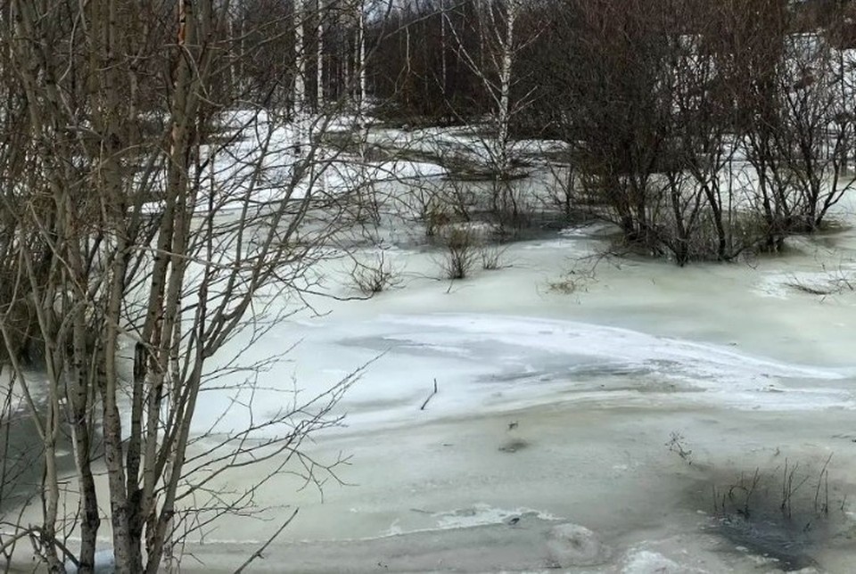    Фото: администрация Ухты