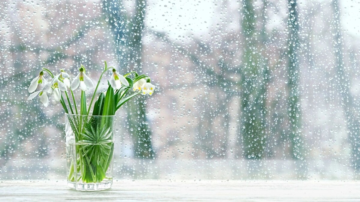    Фото: ju_see/Shutterstock/Fotodom