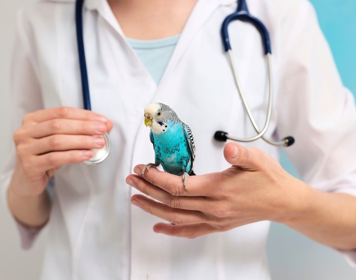 И сердечко твоё послушаем...