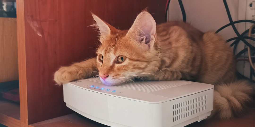 Домашний интернет сильно дорожает — как платить меньше?