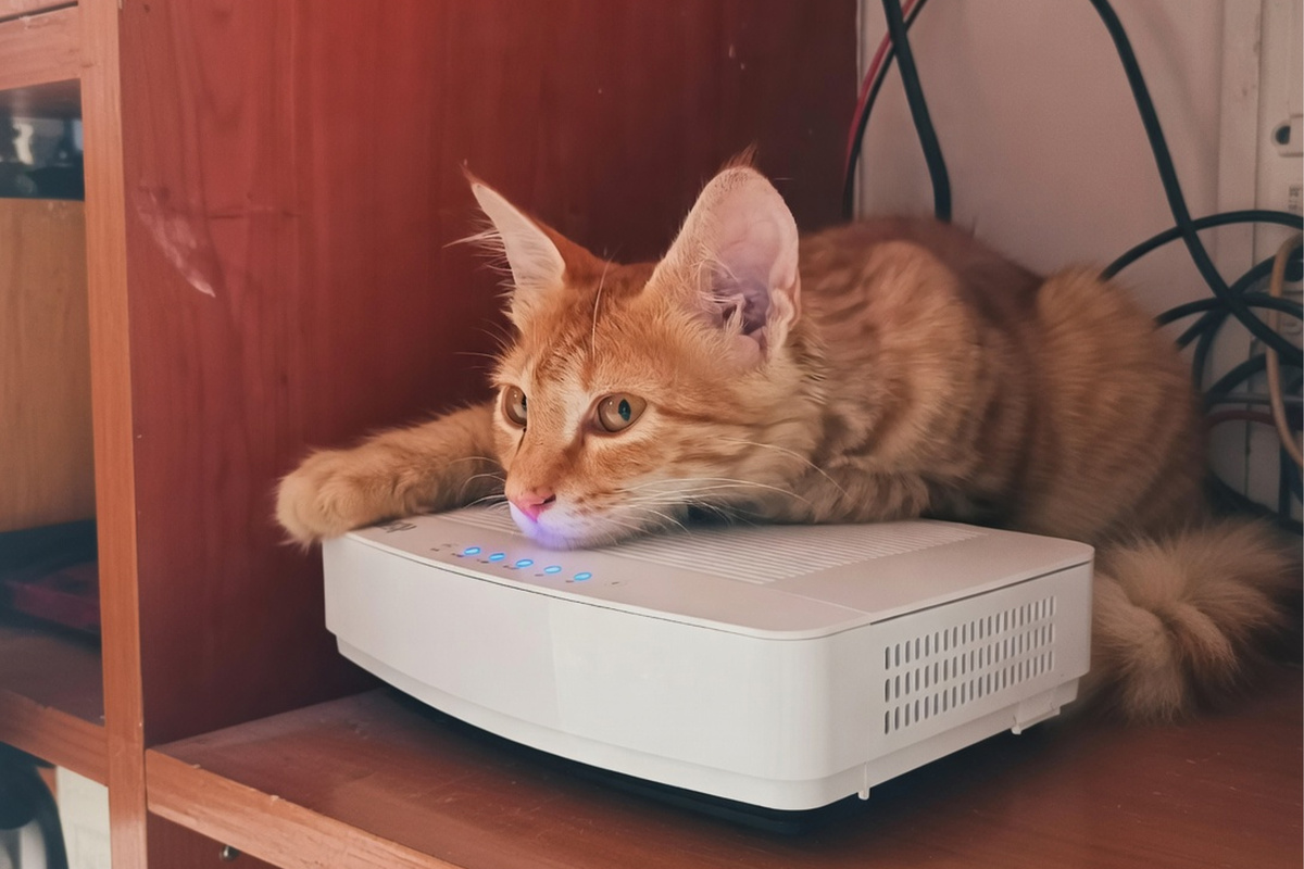 Домашний интернет сильно дорожает — как платить меньше?