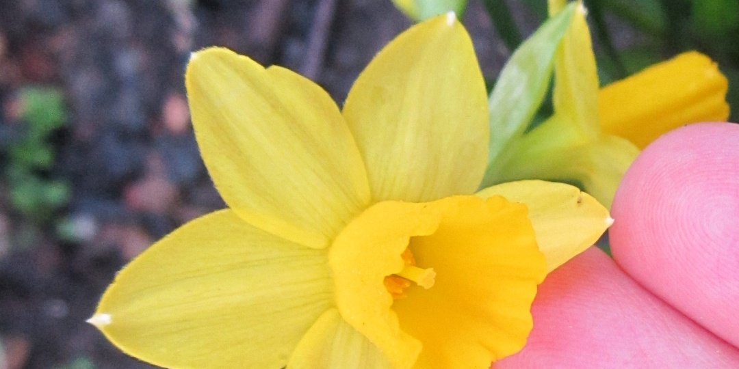 Поиски в тумане