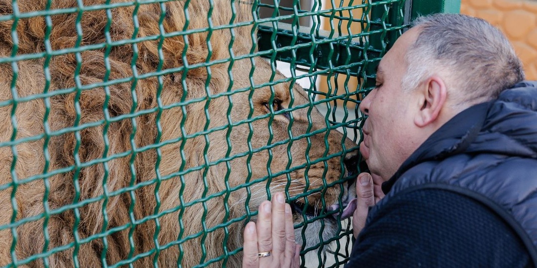 «Добро растет с каждым хорошим делом»: зоозащитник Карен Даллакян 30 лет спасает зверей