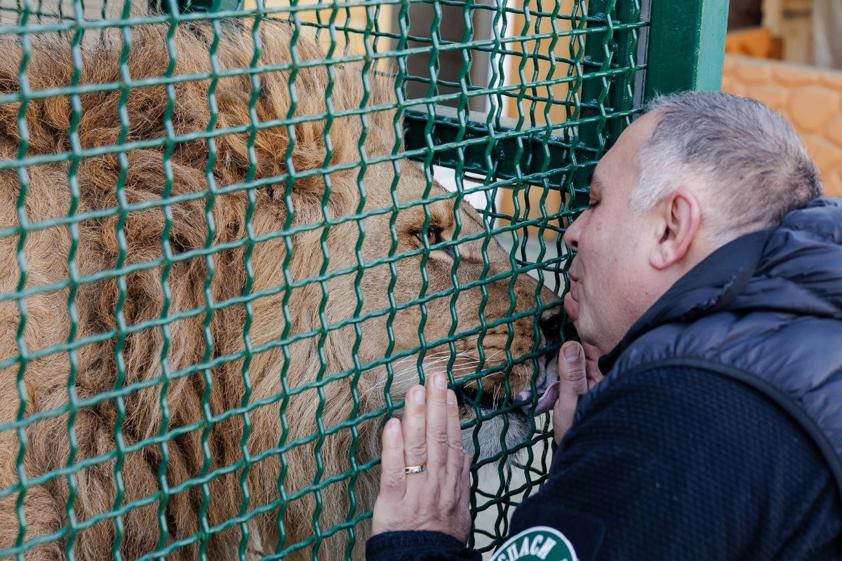 Животные полностью доверяют Даллакяну.  Фото: Фото из личного архива Карена Даллакяна