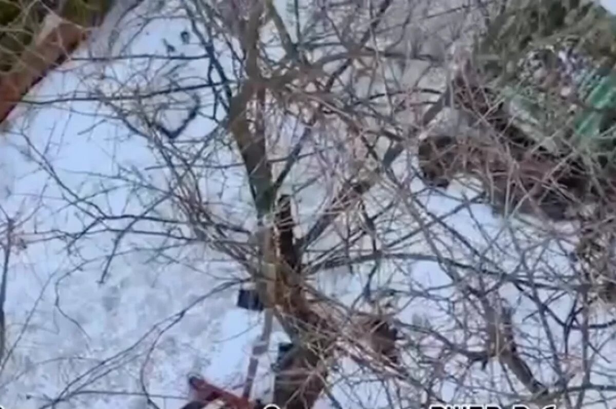    Кадры уничтоженного узла связи ВСУ показал Кадыров