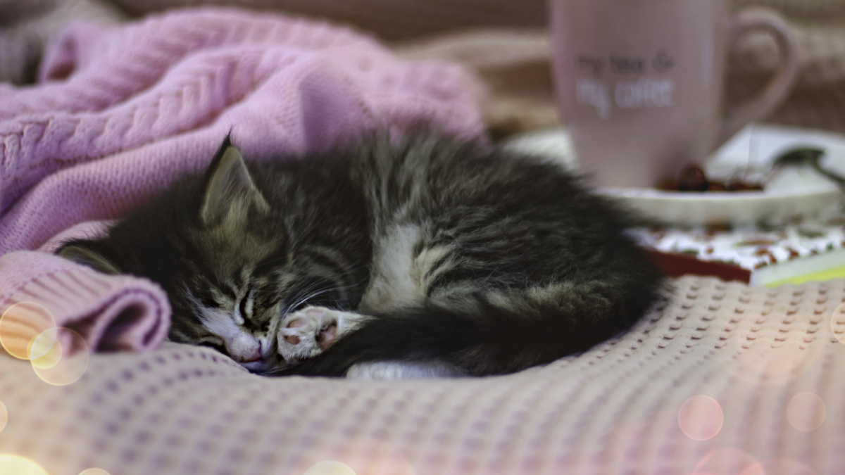 ООО «СДК»📷
