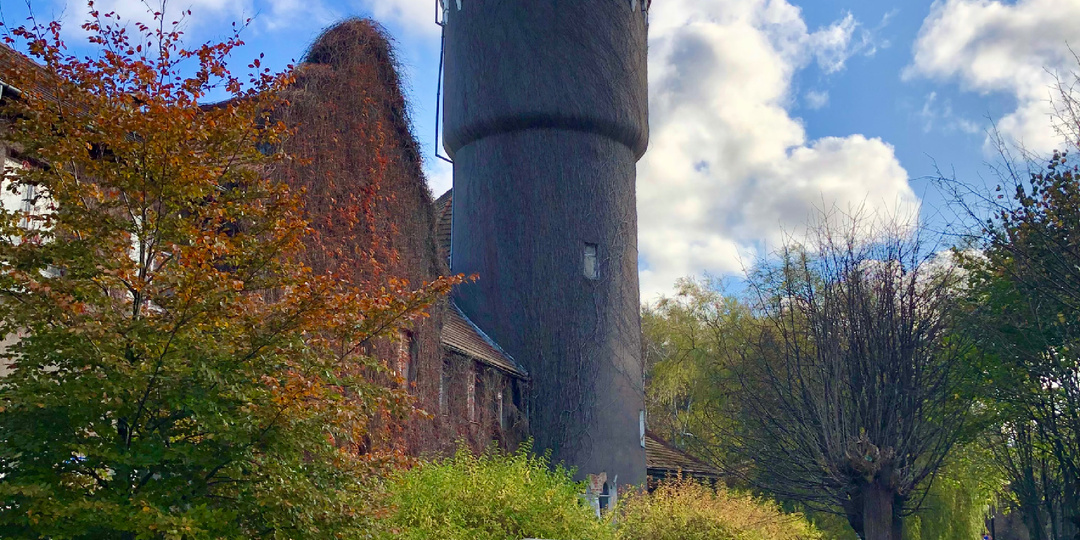 Калининградская область: маршрут на 3 и 5 дней с хомлинами, Куршской косой и атмосферой старого Кёнигсберга