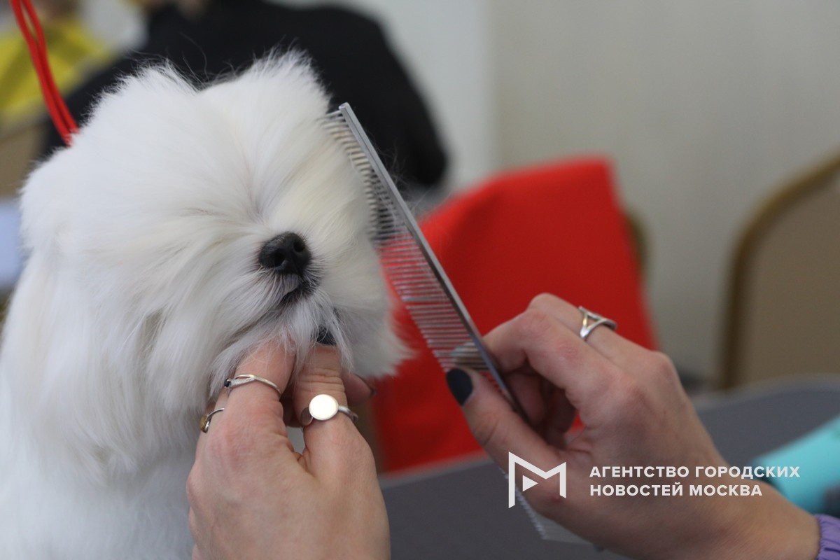 Фотограф: Андрей Никеричев