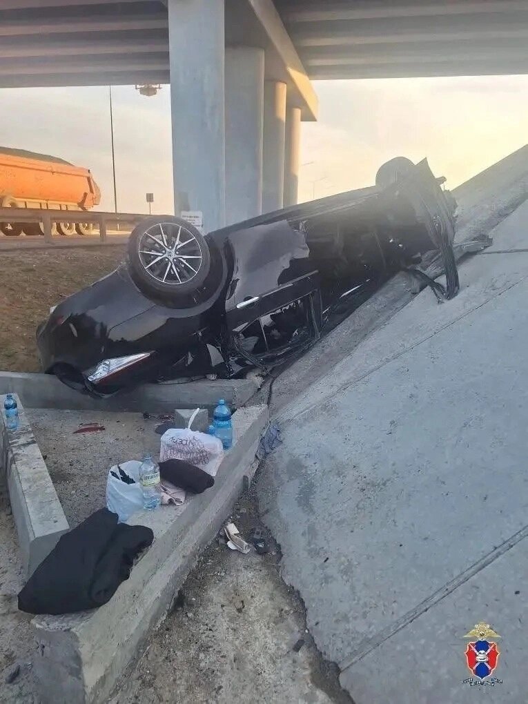    Фото: Пресс-служба УМВД по Республике Калымкия