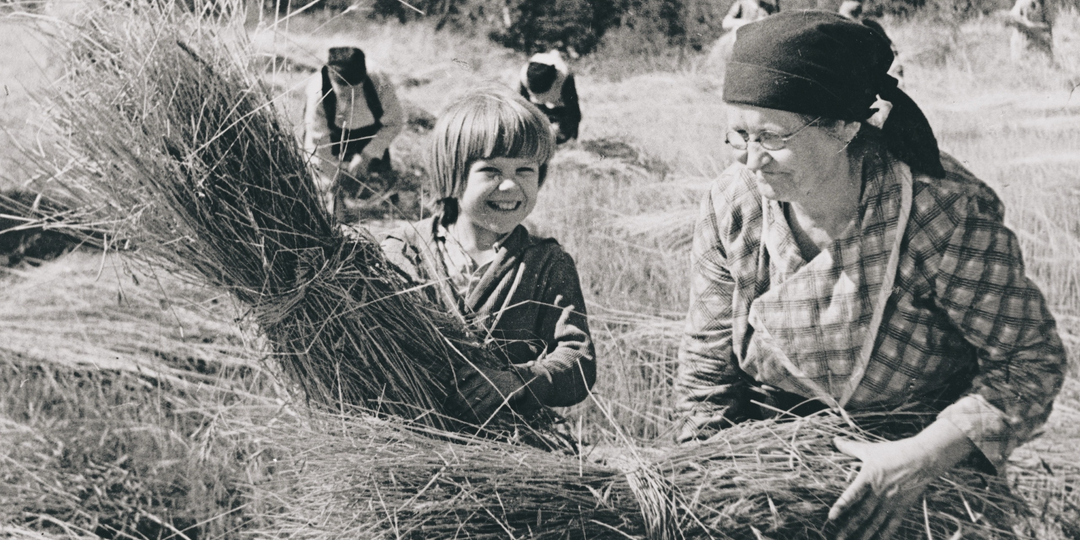 Почему колхозникам в СССР не выдавали паспорта десятилетиями - и что изменилось в 1974 году