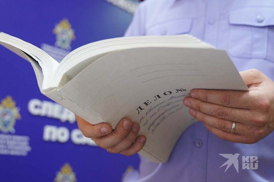    В Рязани завершили расследование дела о подкупе в автосалоне Светлана МАКОВЕЕВА