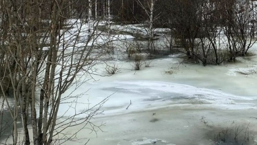    Фото: администрация Ухты