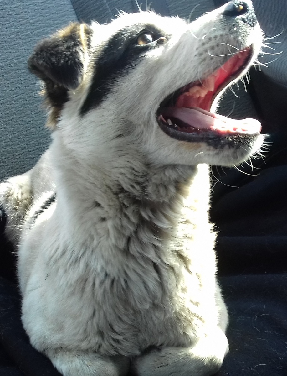 фото из личного архива