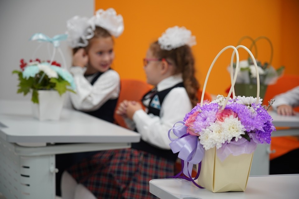    В Иркутской области родителям станет проще записать детей в первый класс ИВАНОВА Диана